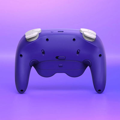 NYXI Warrior Lite Wireless Controller – Bluetooth 5.0 | Nintendo Switch 2, Switch OLED & PC